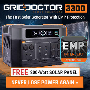 Grid Doctor 3300 watt power inverter